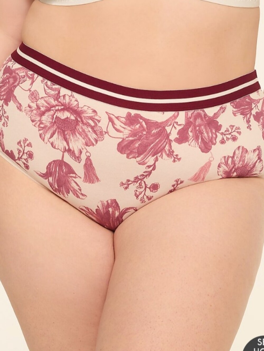 Cacique 22/24 Cotton High Leg Brief